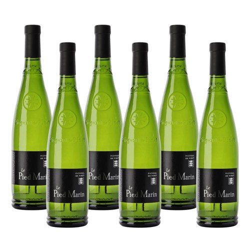 Case of 6 Picpoul de Pinet Le Pied Marin AOC 75cl White Wine